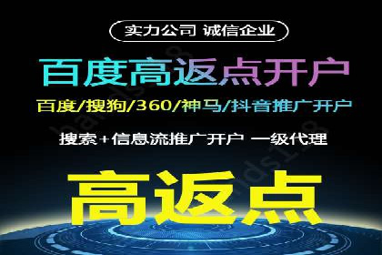百度推广排名案例报告：某行业巨头如何运用其占领市场高地
